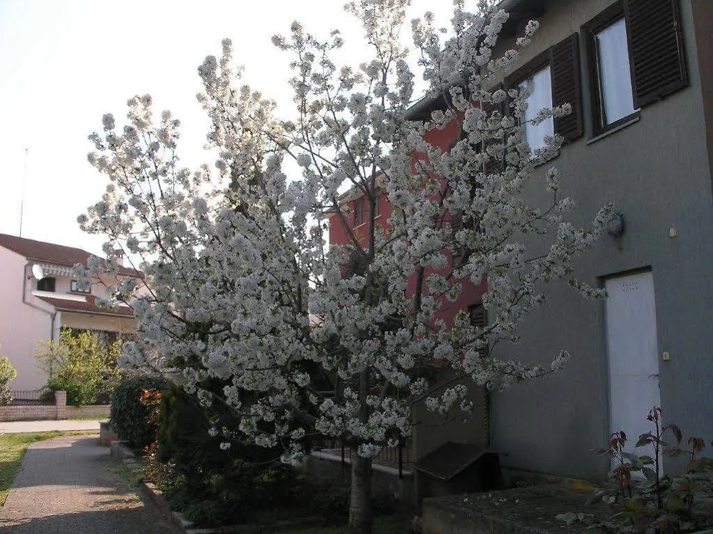 רוביני Apartment Cherry